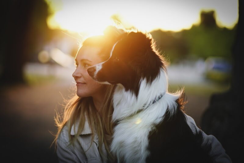 fantail hondenkussen