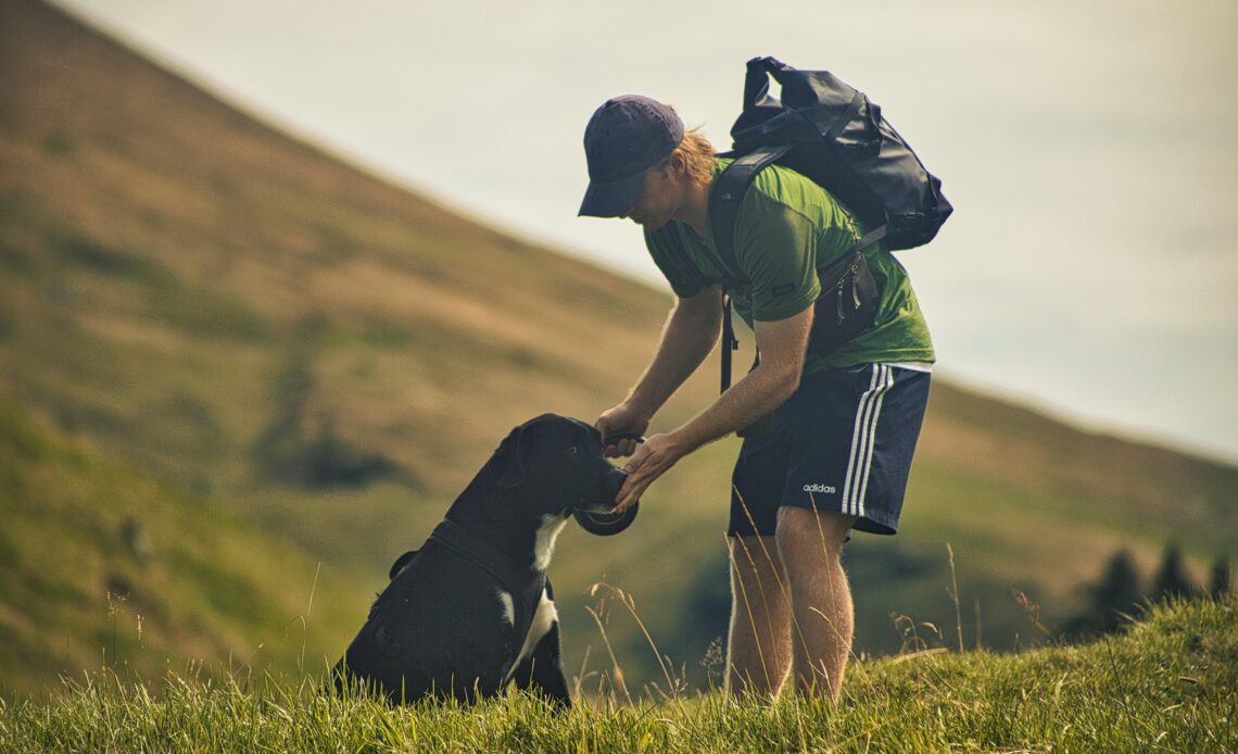 Hoe oud wordt een hond? Dit moet je weten! HondjesGids